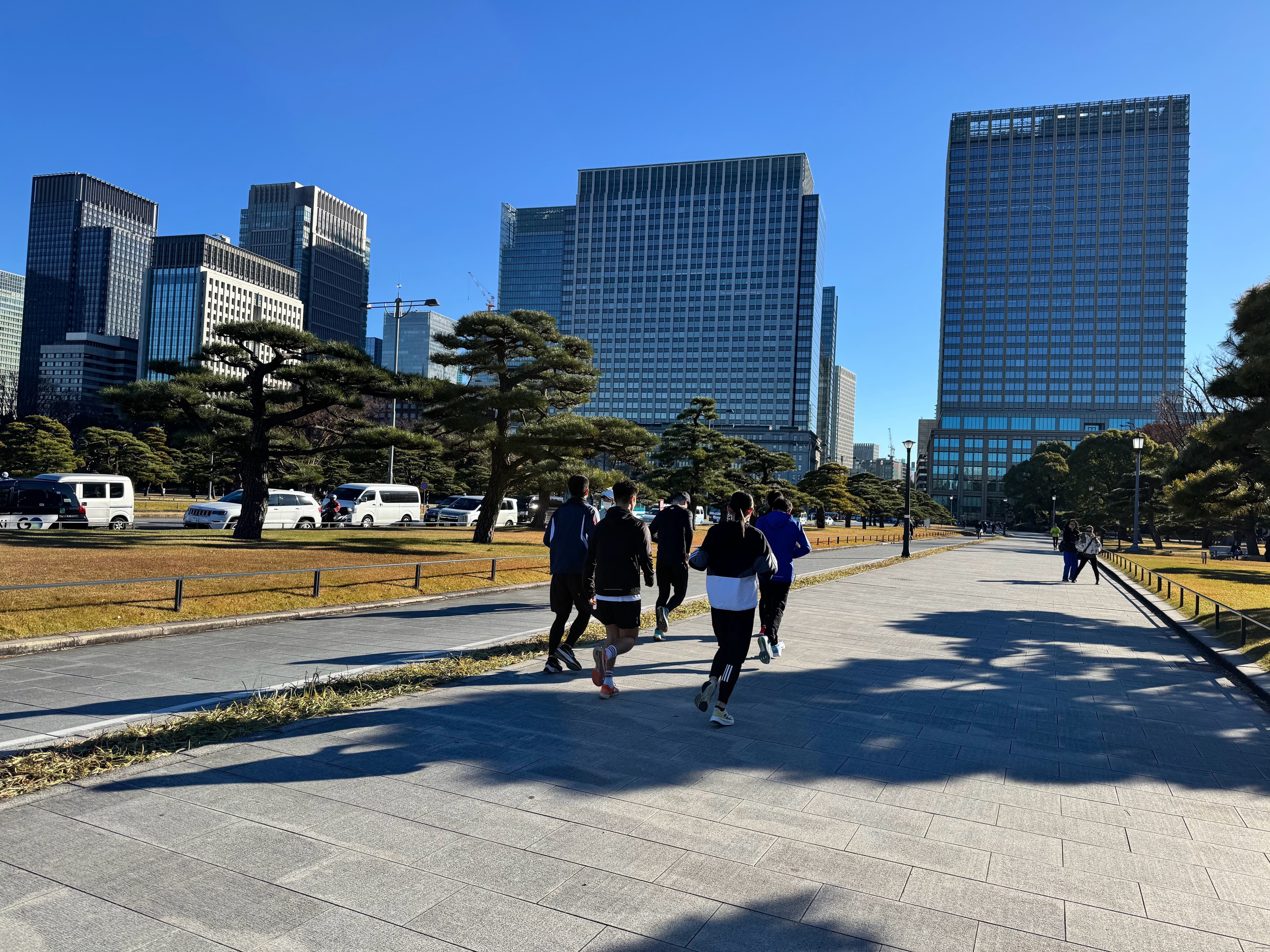 东京皇居外苑晨跑队｜蓝天+松树+西装楼，这画面我直接封神！封面图
