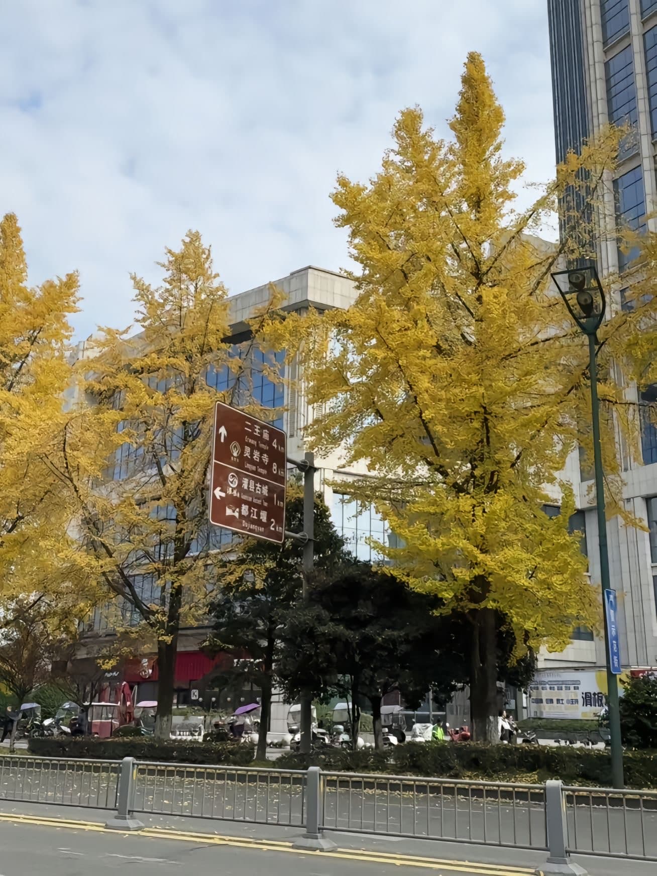 路过二王庙路口，银杏黄得像打翻的阳光｜秋天是城市给的温柔暴击封面图