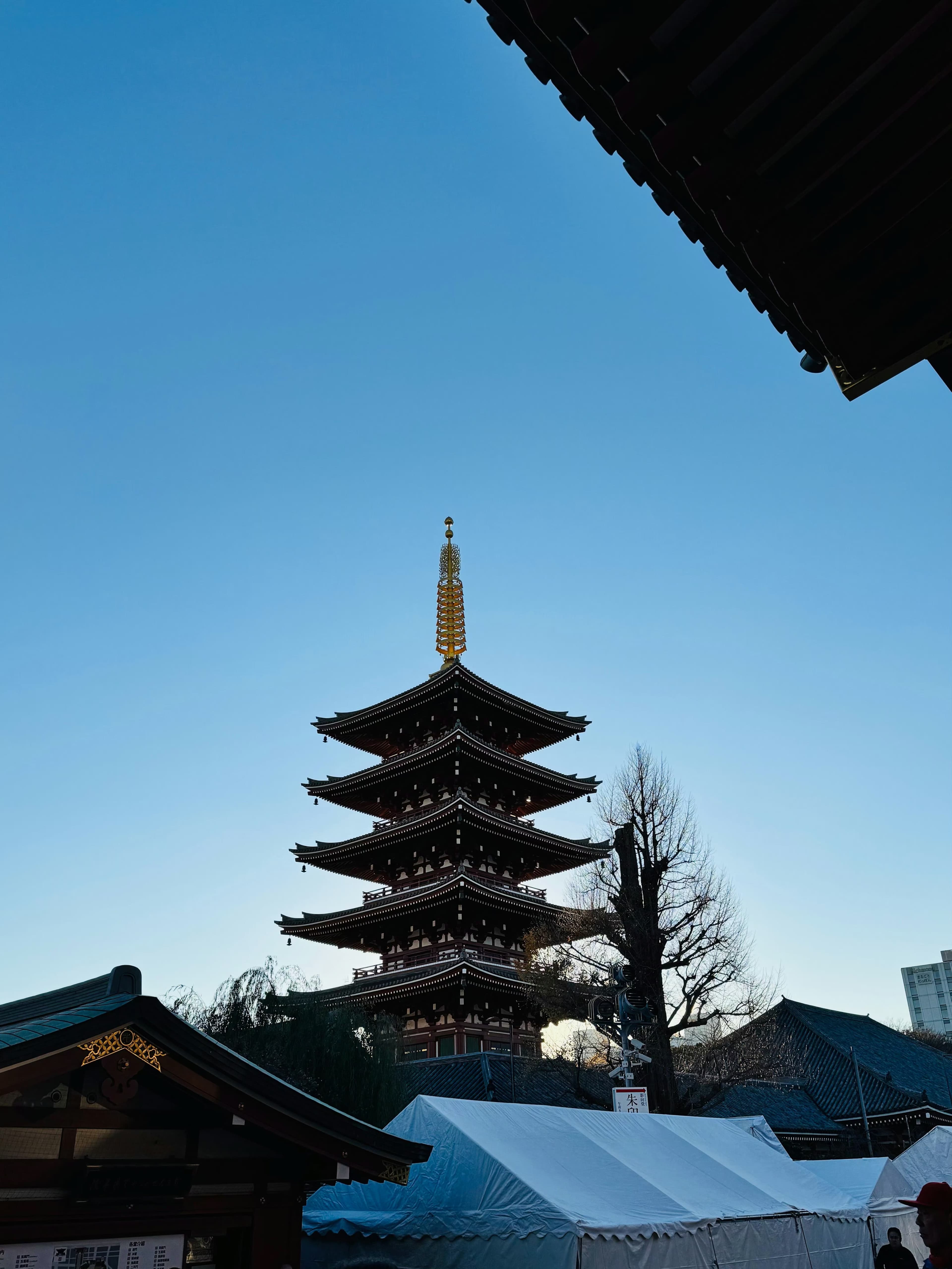 东京浅草寺五重塔的蓝调时刻｜黄昏前最后的静默封面图