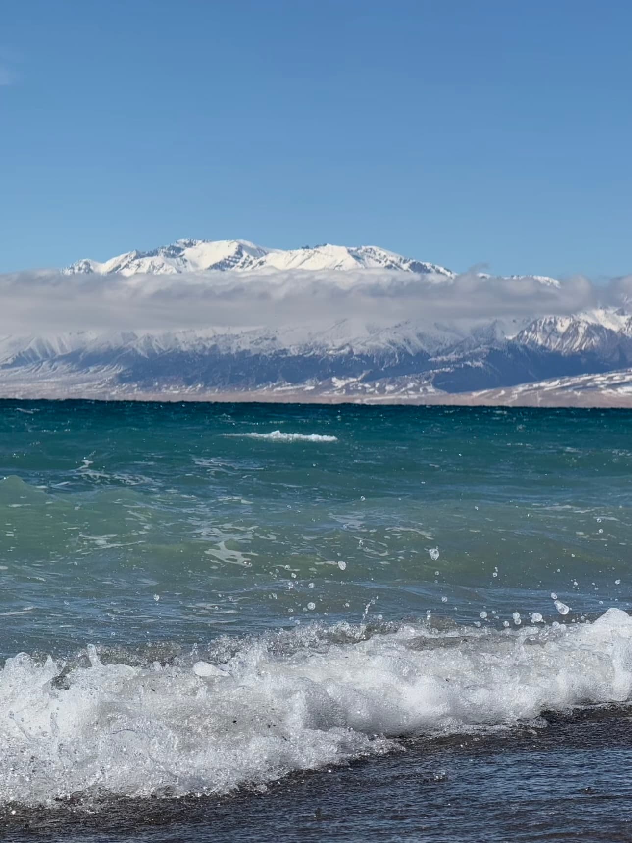 在新疆的湖边,浪花拍岸时突然想家了…雪峰和蓝水太治愈了封面图