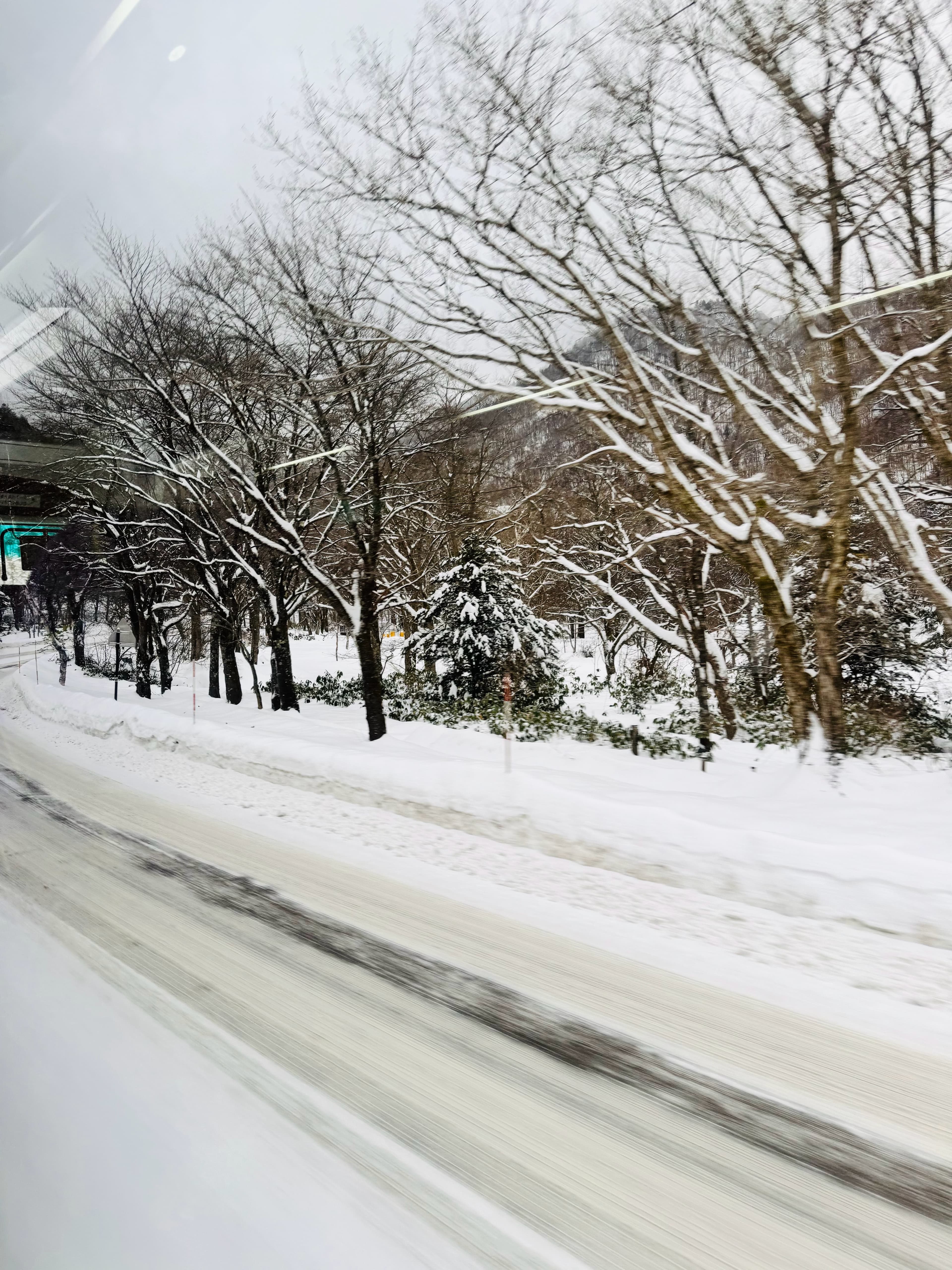 窗外雪景刷屏朋友圈，我却在车里默默数树杈…谁懂这种冬日浪漫？封面图
