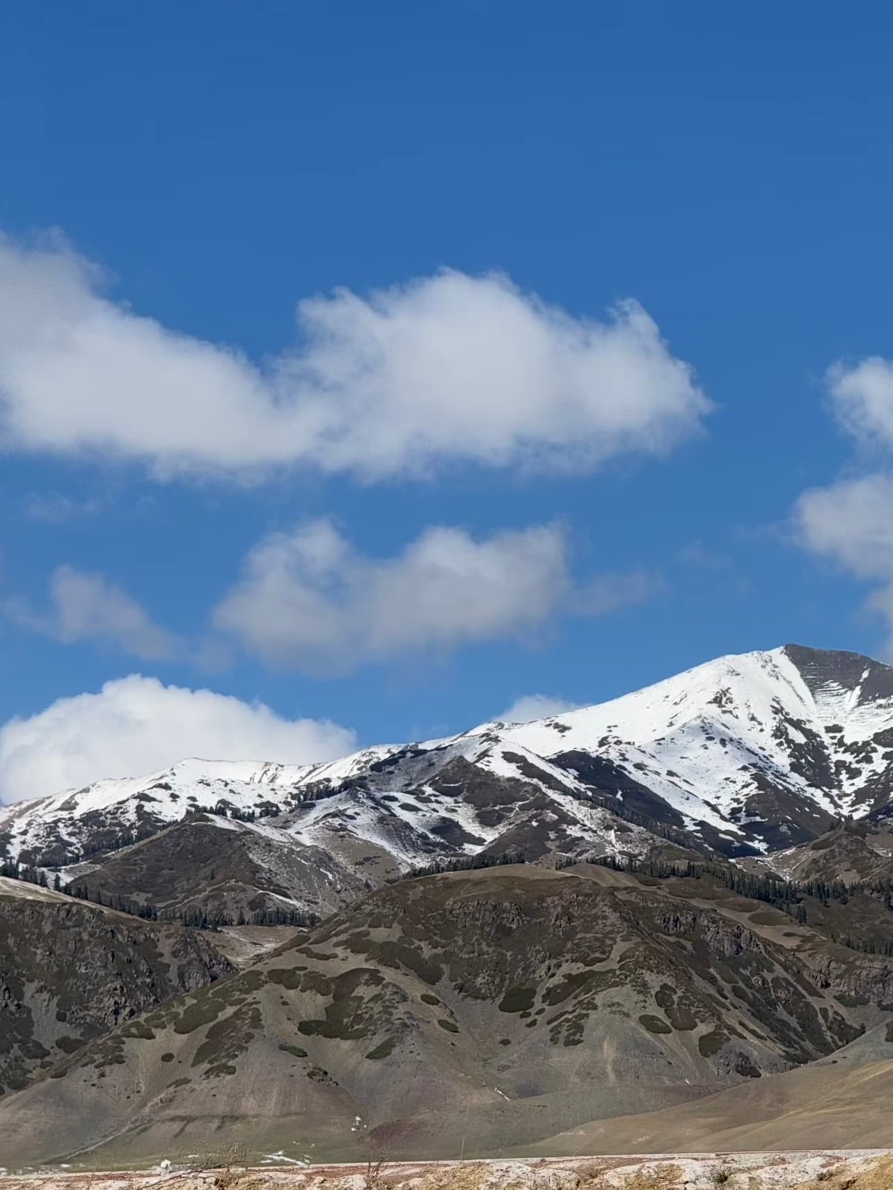 新疆伊犁的山，雪还没化完，风一吹云就跑得比人还快～封面图
