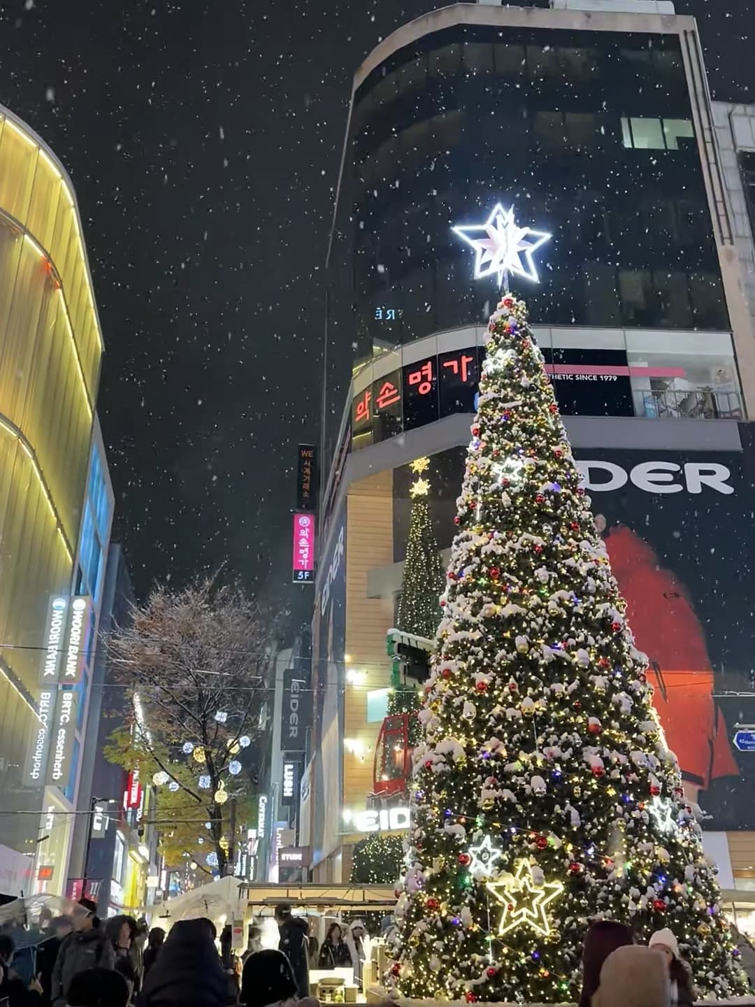 雪夜的圣诞树突然开始下雪了…好想抱紧这棵会发光的松树❄️封面图