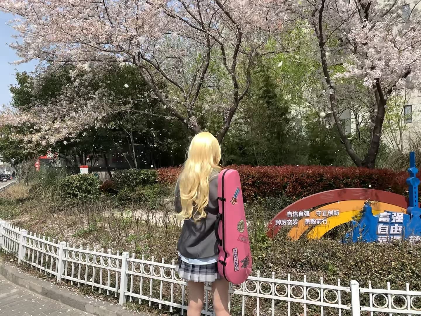 樱花季的日常：背着小提琴去公园发呆，风一吹全是粉雪封面图