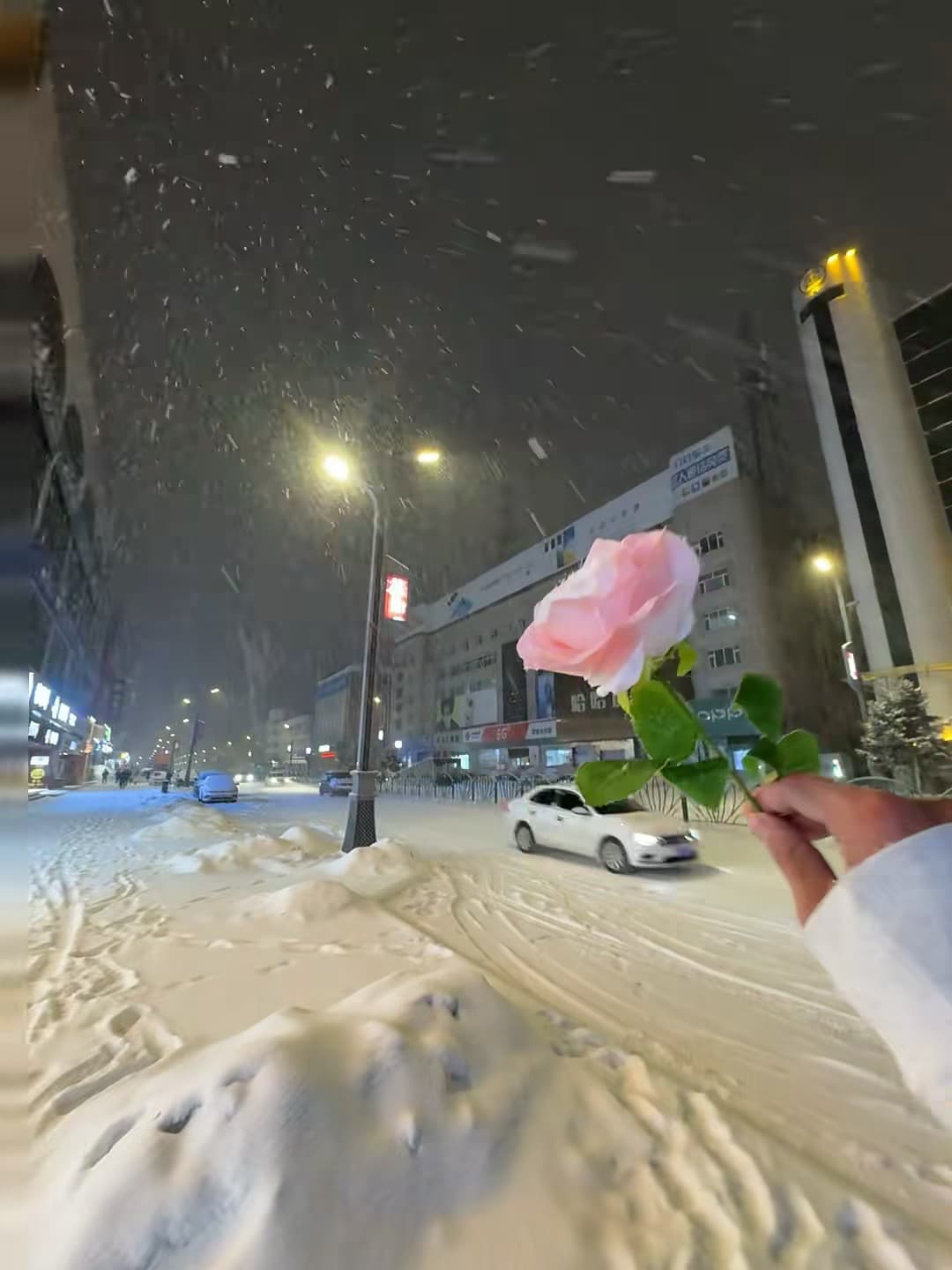 雪夜街头突然被这朵粉玫瑰击中了…今天在人民路等红绿灯时，车流里飘着雪花，手一抖就举起了它封面图