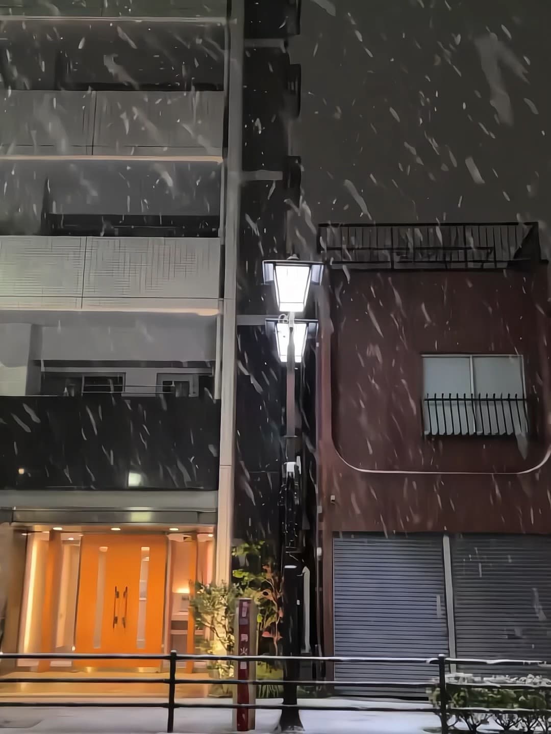 今晚的雪，把街角路灯照得像颗糖封面图