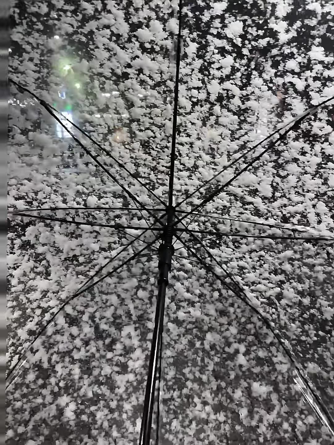 雪天撑伞的瞬间，像在看一场无声的漫才封面图