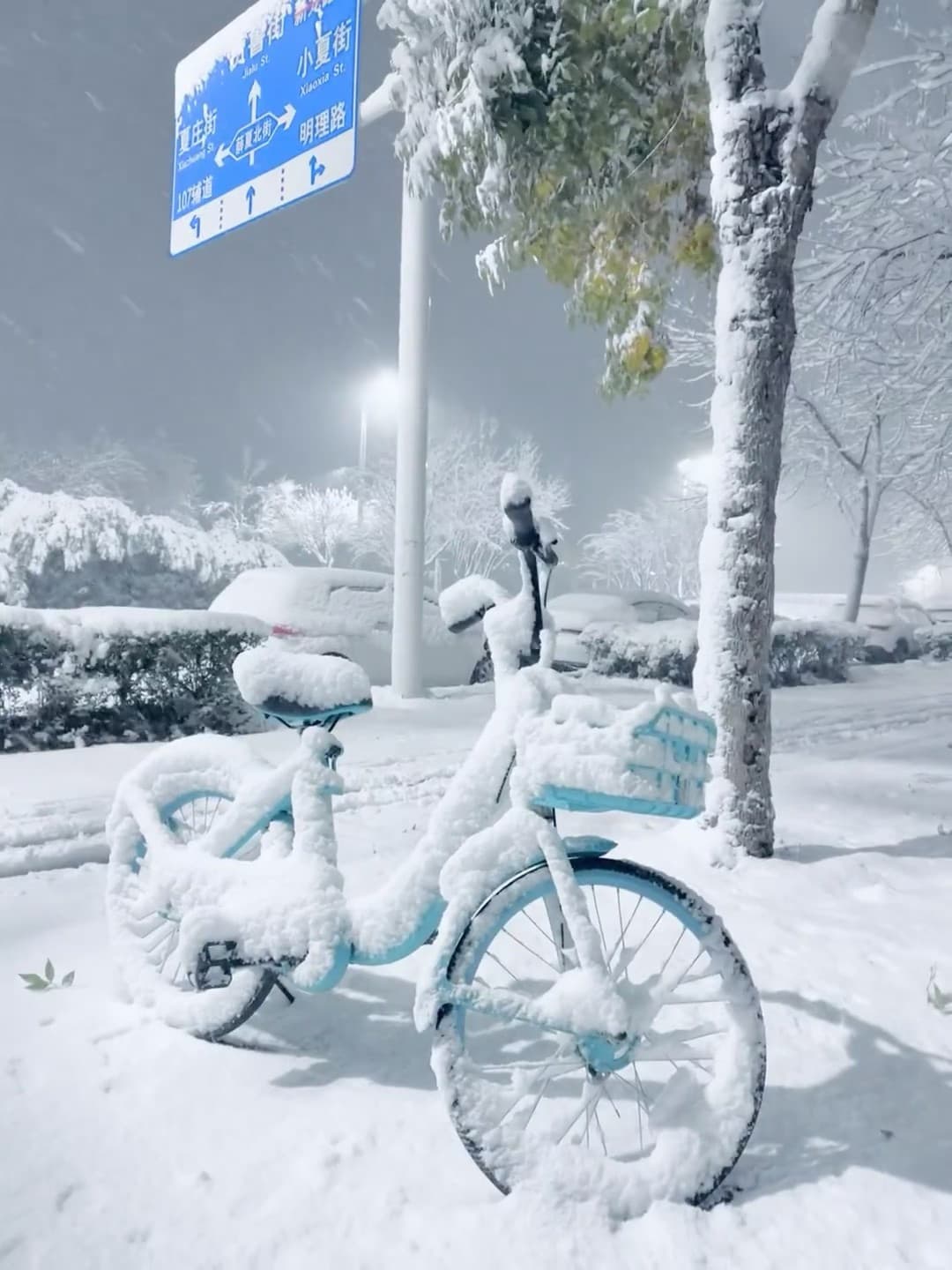 雪天路过的共享单车，像被时间冻住的蓝色梦封面图