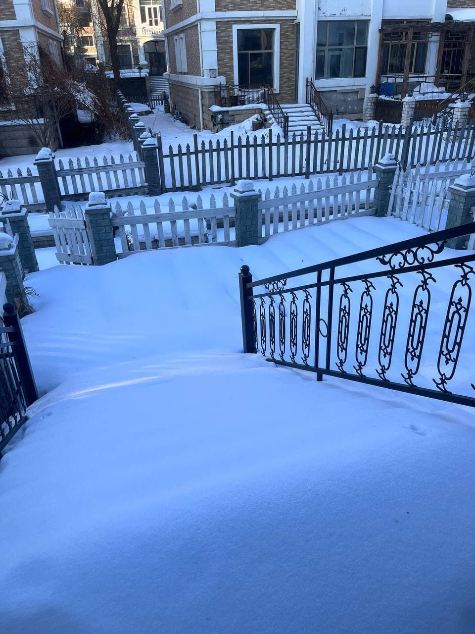 雪后小区步道，连铁艺栏杆都开始营业了❄️封面图