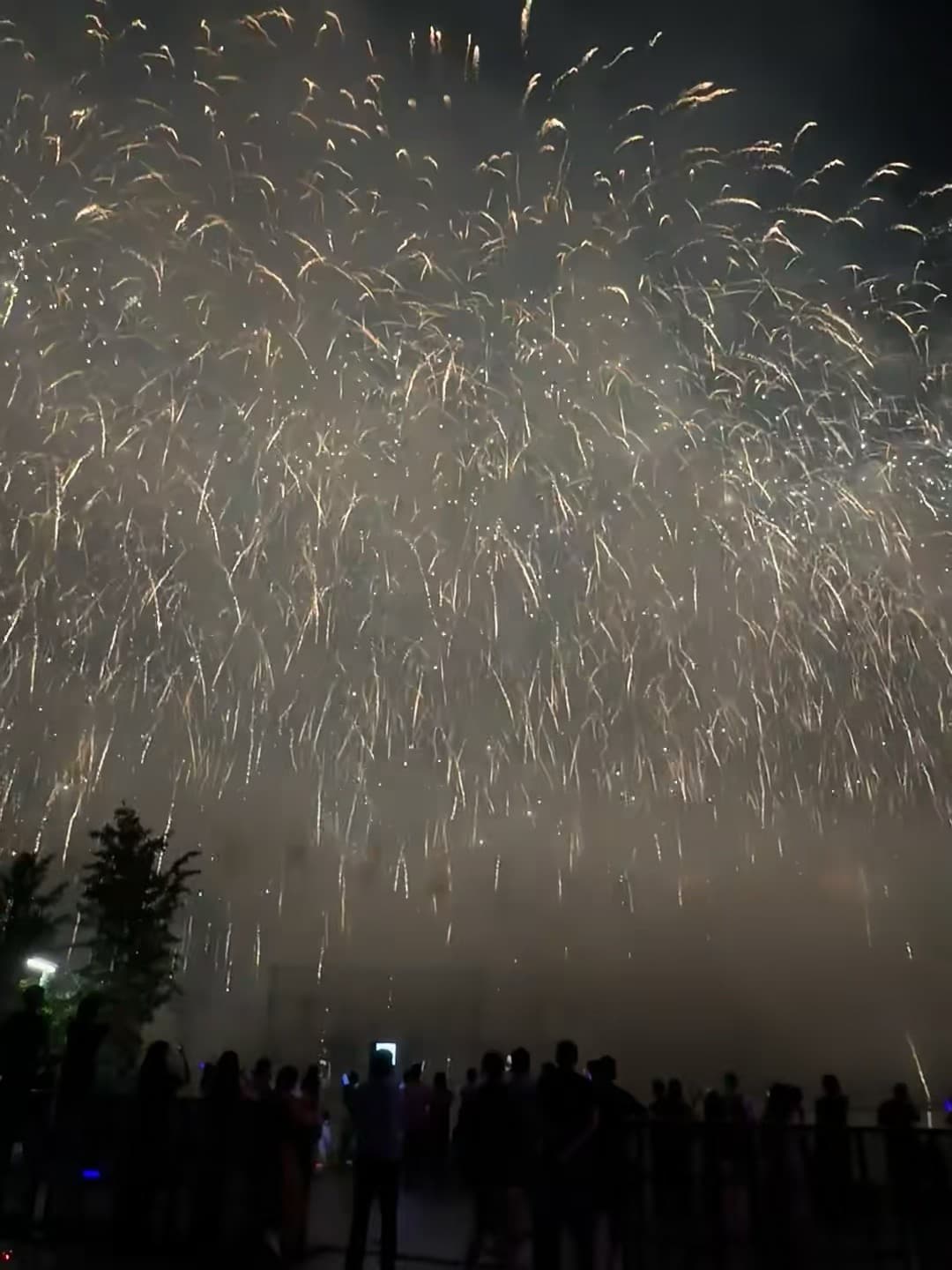 今晚的烟花雨，把整个河岸都染成金箔了✨封面图