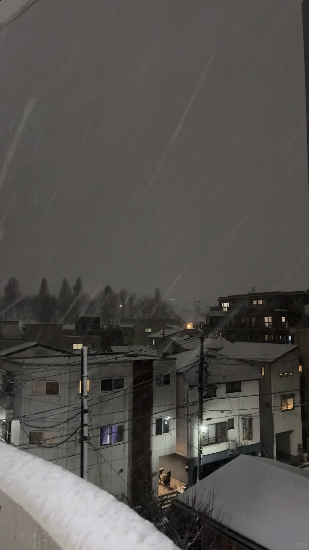 今晚雪下得像被风吹乱的纸片,连路灯都懒得直着站了封面图