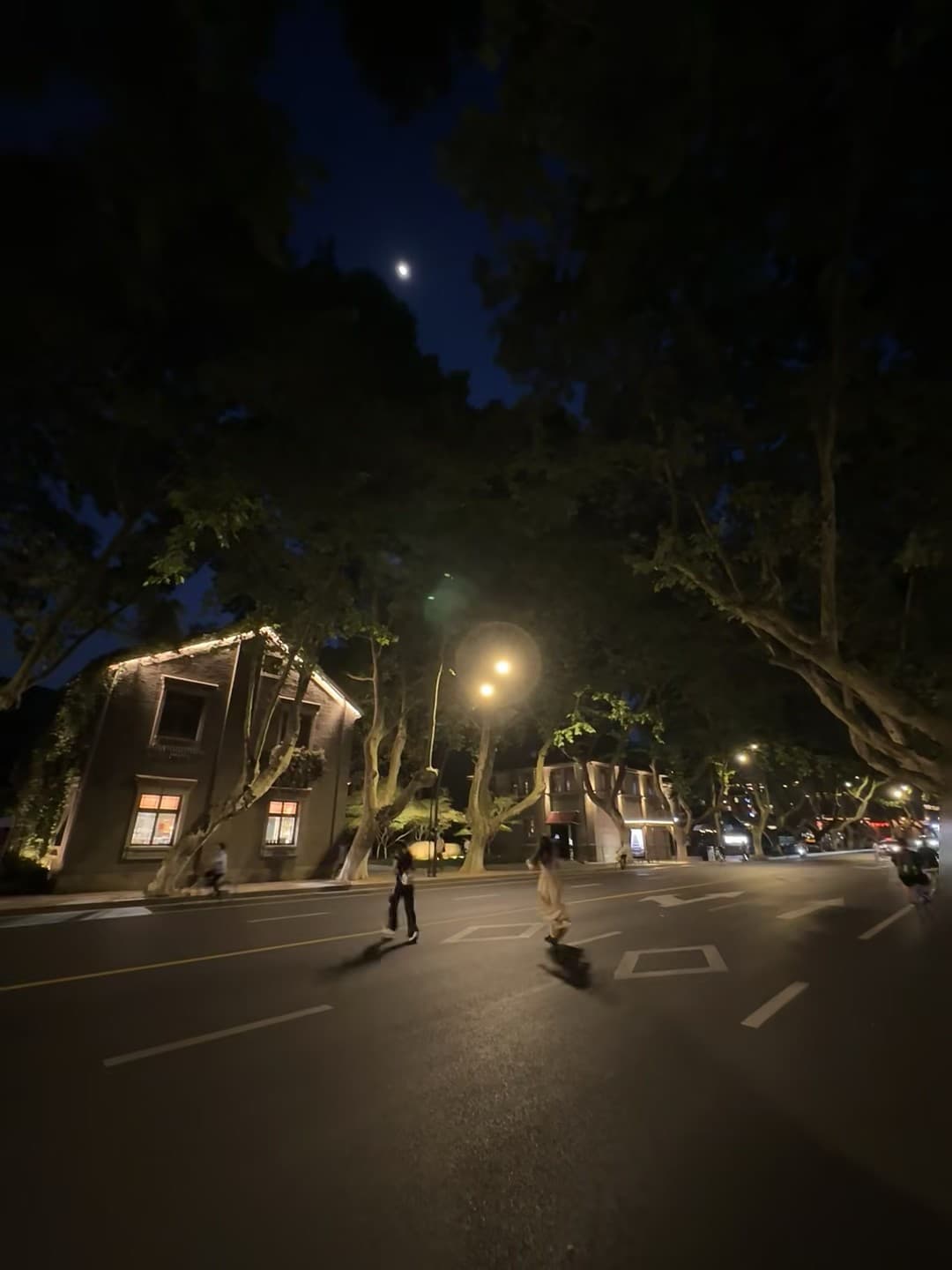 夜跑路过老洋房，月亮刚好卡在树梢上✨封面图