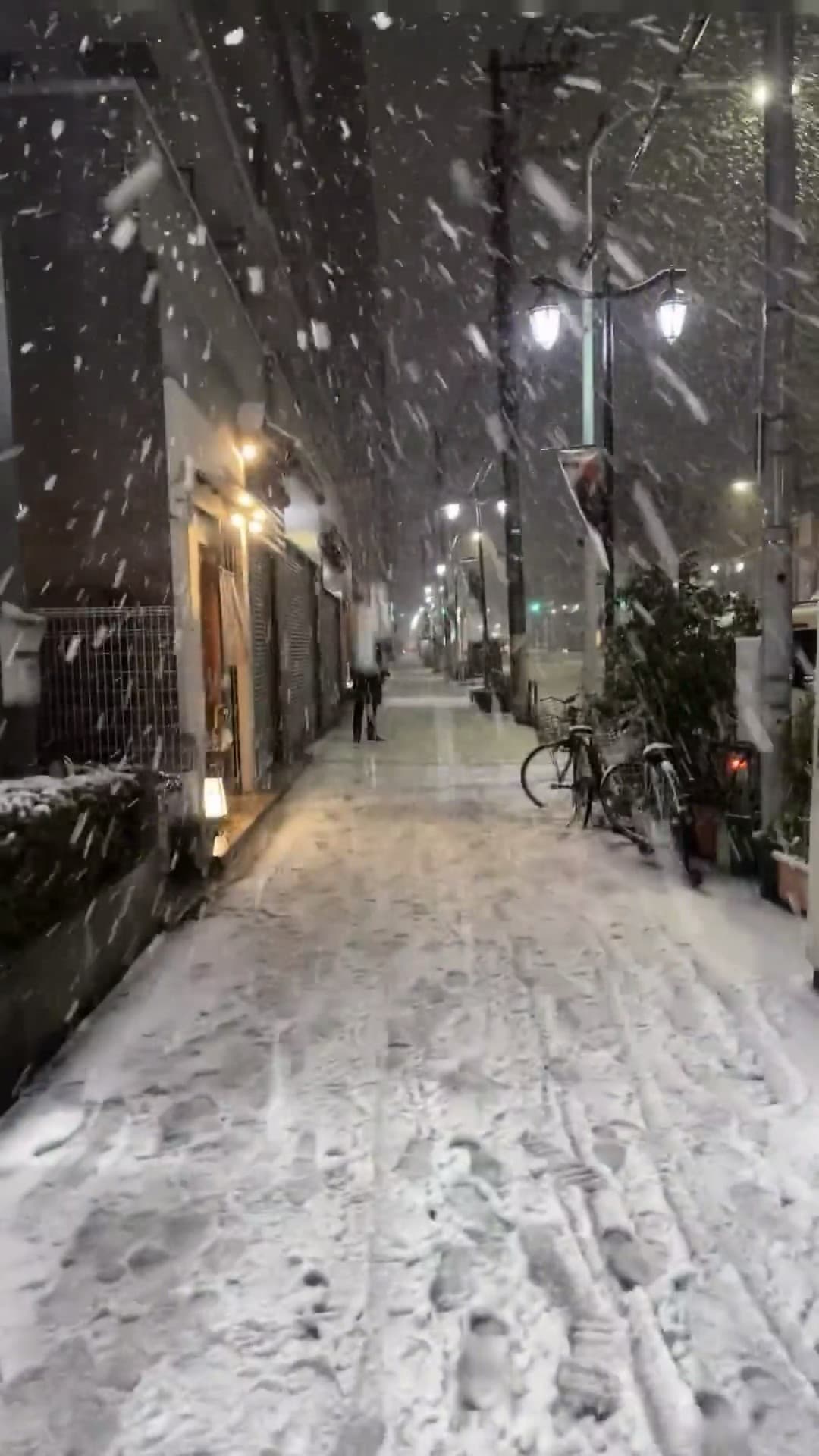 今晚的雪把巷子变成了童话,路灯一亮,雪花都成了光斑✨封面图