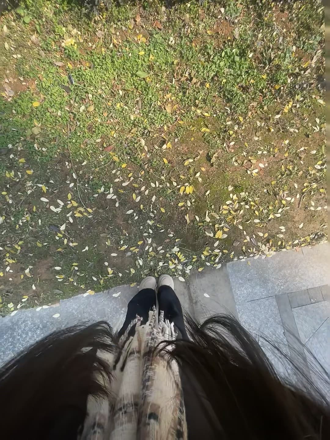 秋日散步的脚尖，踩进满地金黄落叶里✨封面图