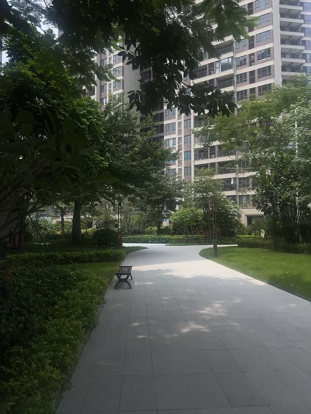 小区里突然冒出来的‘秘密花园’，连我这个路痴都绕进去了封面图