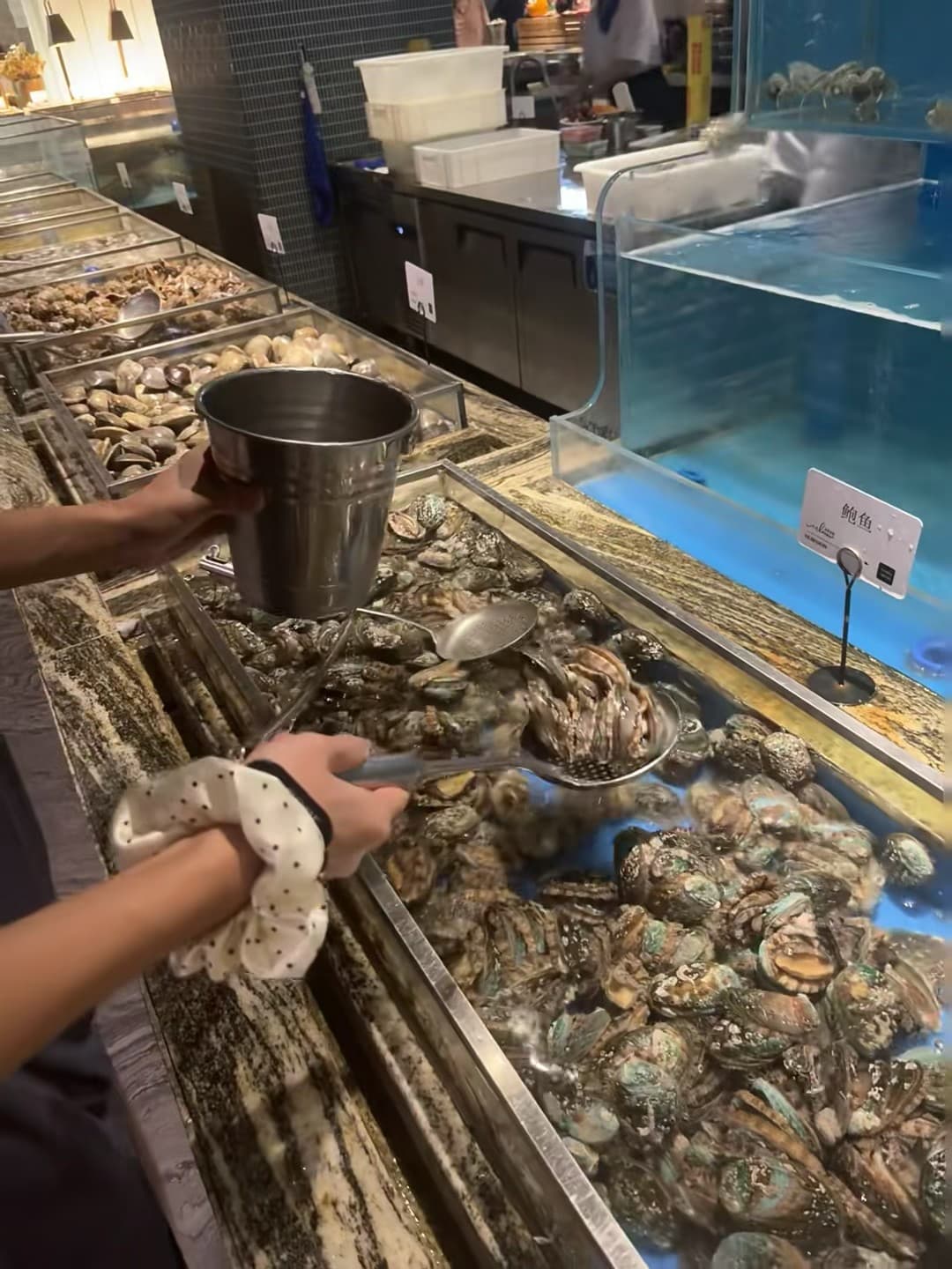 捞鲍鱼的快乐，比上班还上头 🦪封面图