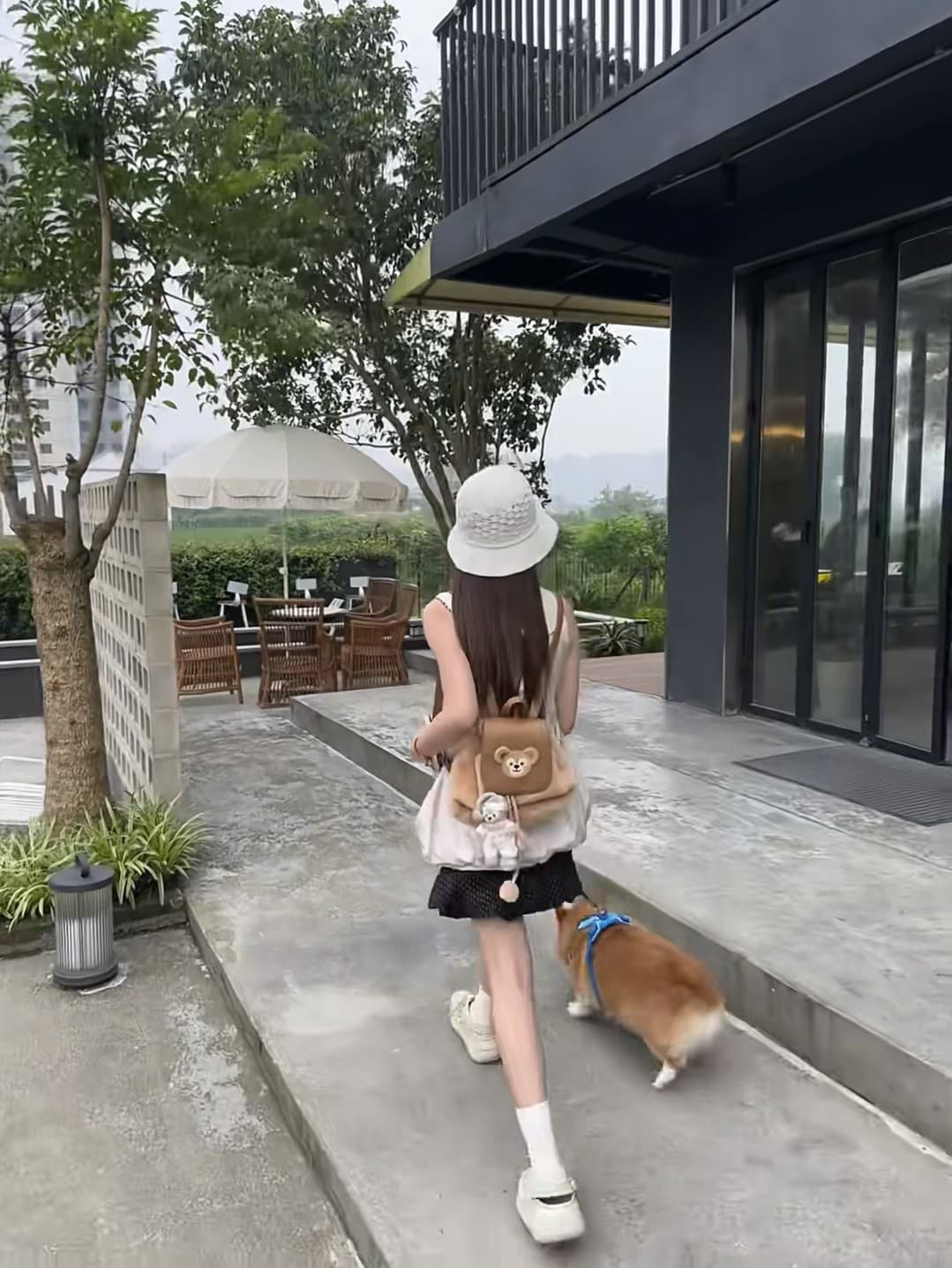 雨天遛狗也要仪式感～新买的草帽终于派上用场了封面图