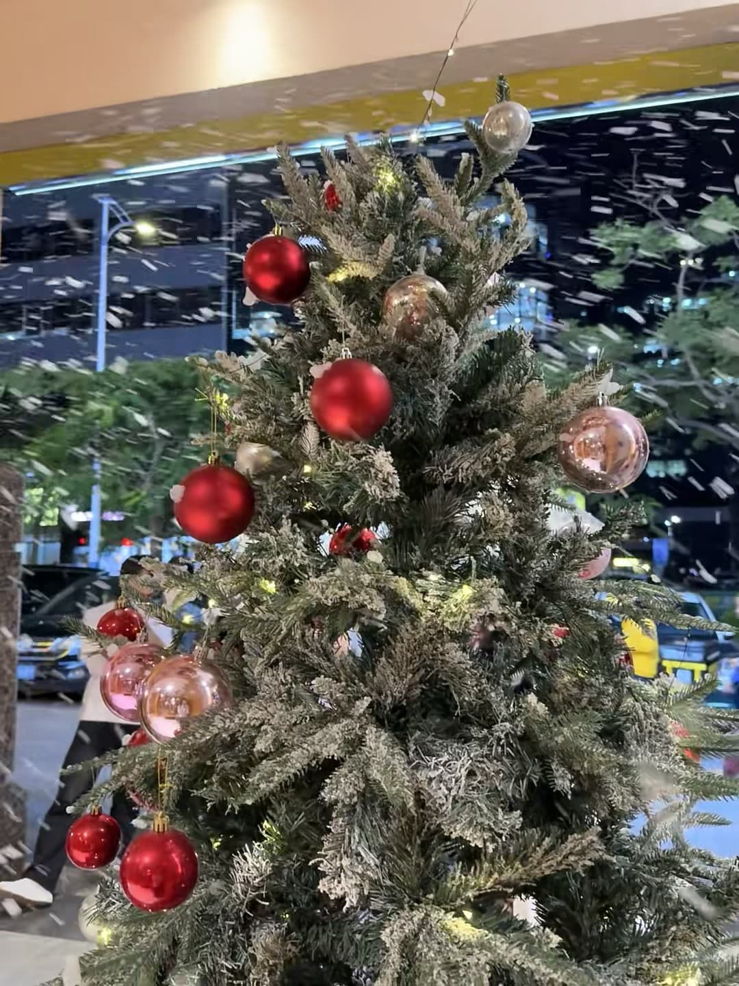 圣诞树下飘雪，但外面是黑的…在商场里假装过冬❄️封面图
