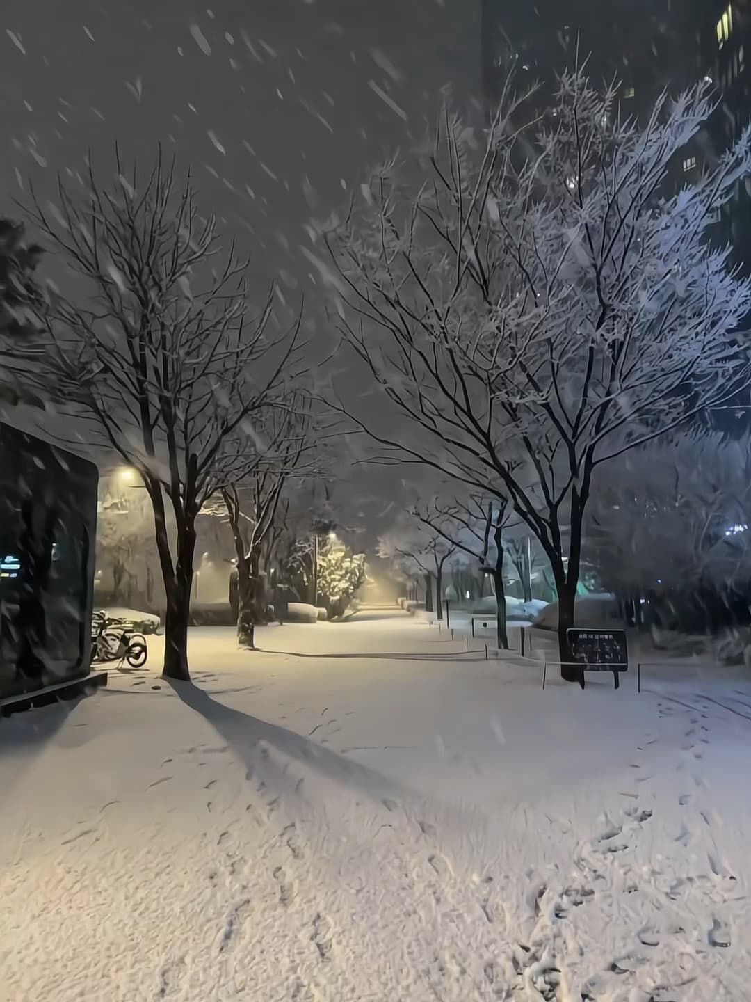 今晚的雪,把整条街都揉成了奶油蛋糕~封面图