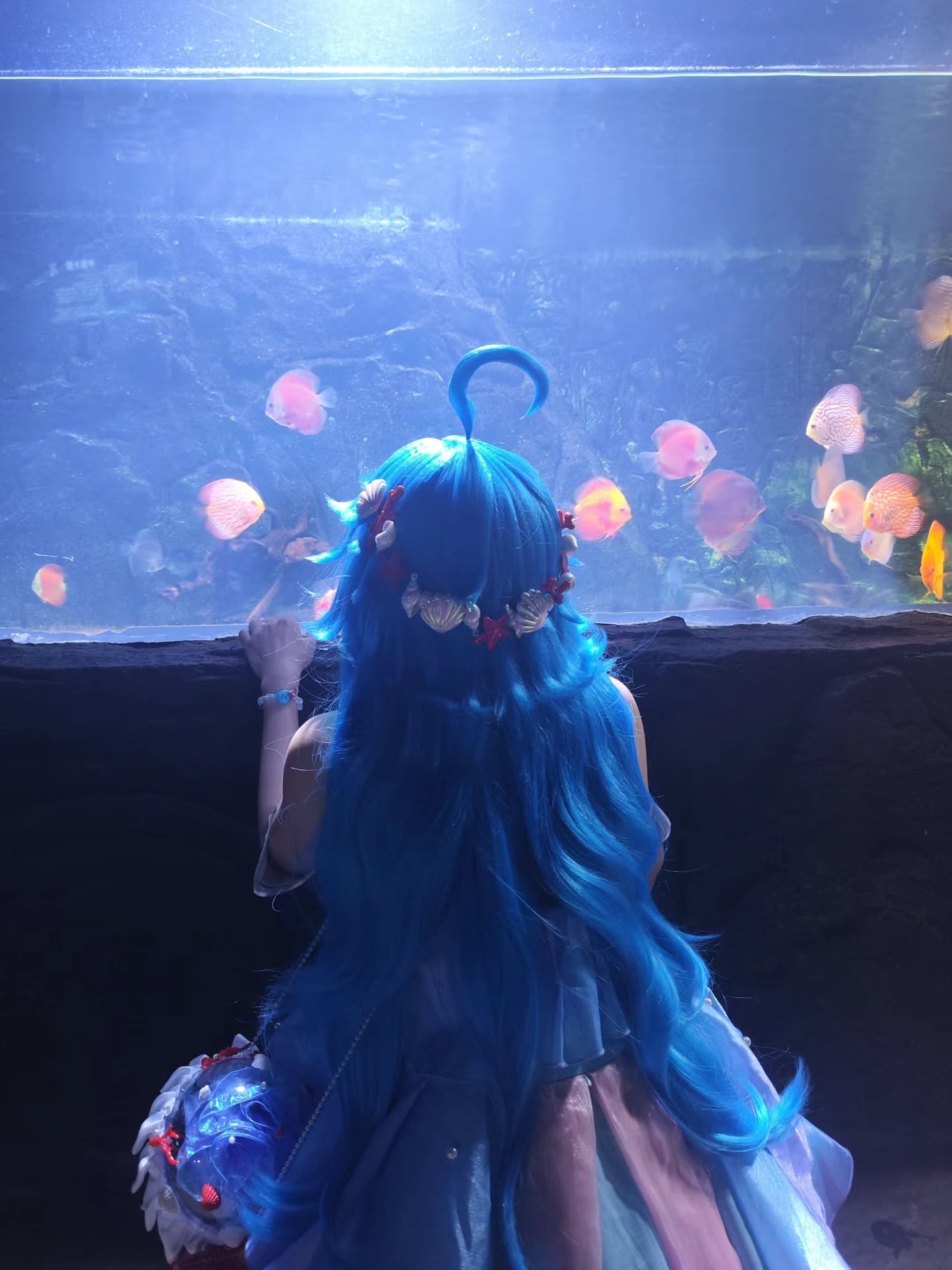 蓝发小美人鱼在水族馆发呆，连鱼都怕她抢了C位 😅封面图