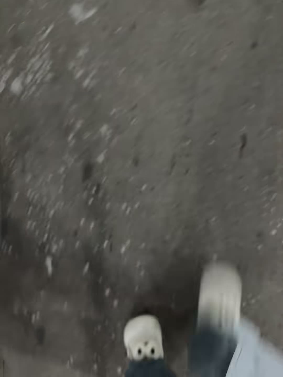 雪后通勤，鞋底粘了整片小雪花❄️封面图