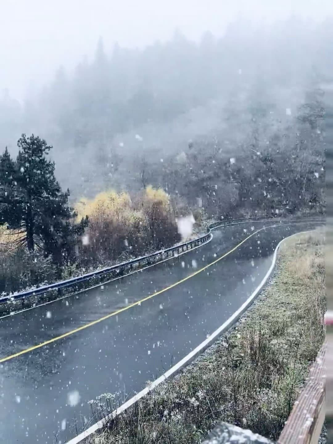 雪天开车路过山弯路，像开了场电影滤镜｜今天在The Ridge Road封面图
