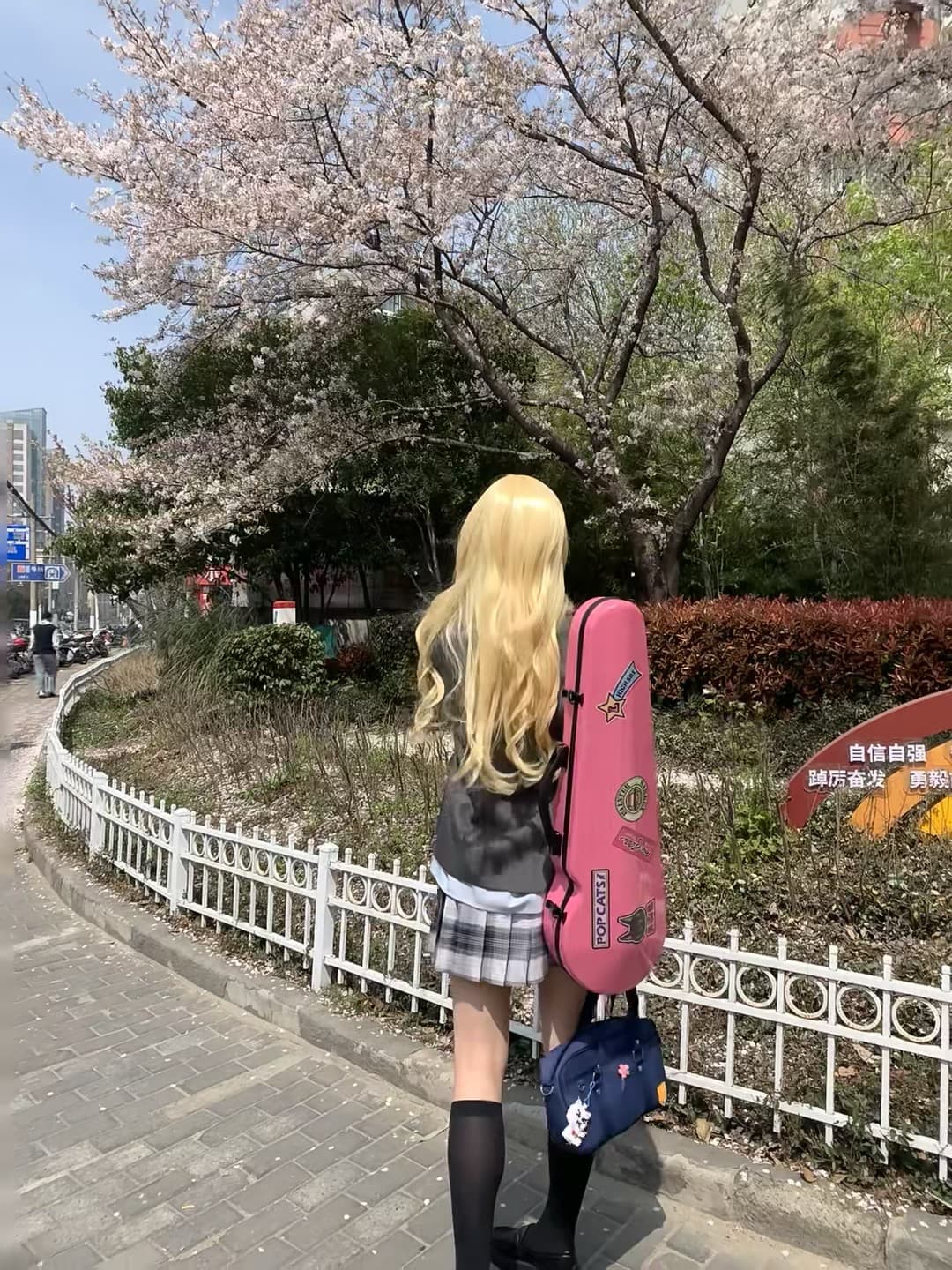 樱花季的通勤日常|背着小提琴去上课,路上被风追着跑封面图