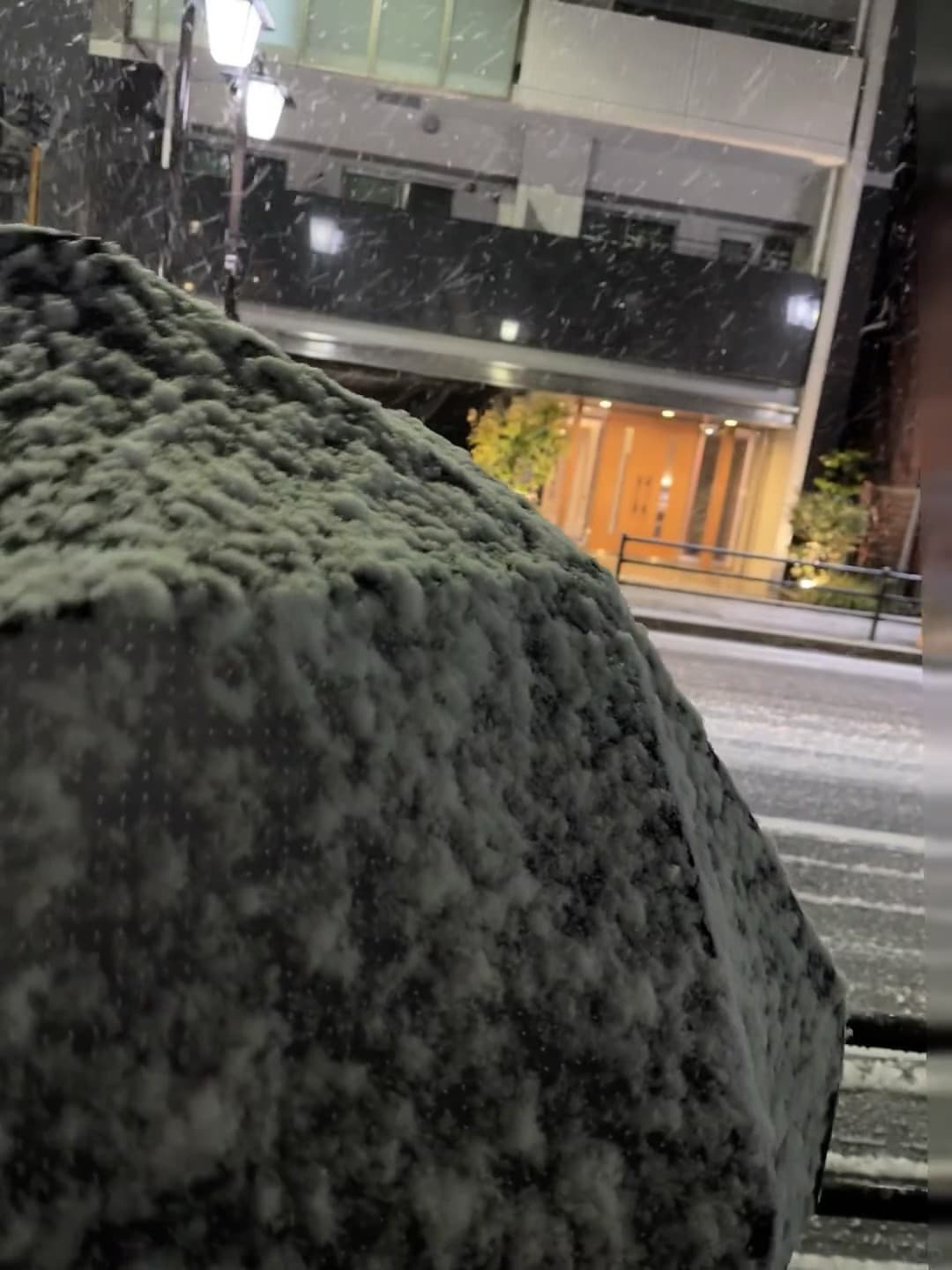 雪夜摸鱼回家,伞被压成雪山了…
(东京街角的冬日小确幸)封面图