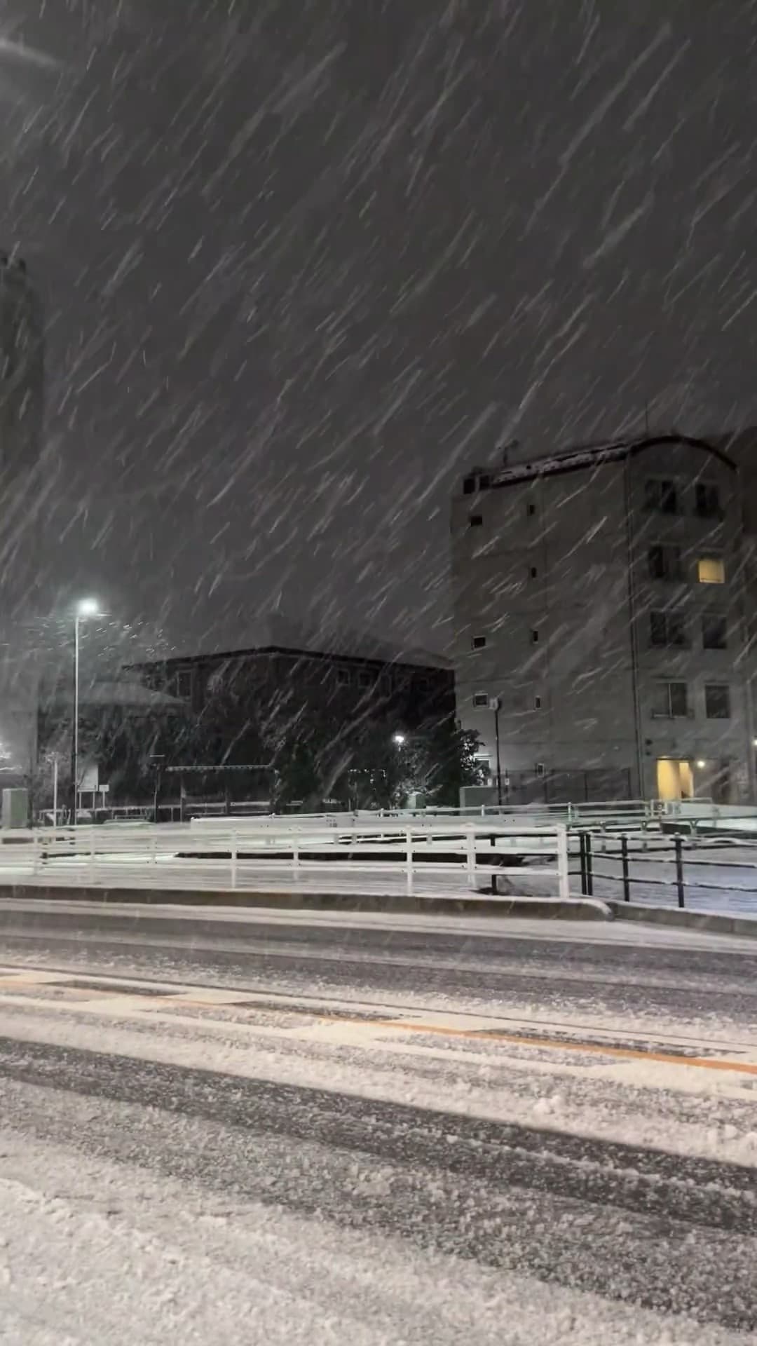 夜雪封路,连路灯都裹了层白棉被❄️封面图