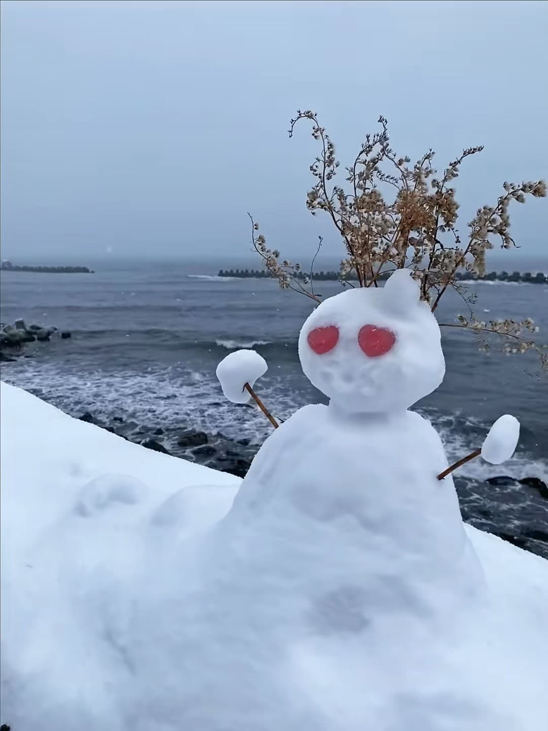 海边雪人偷吃我刚买的热可可…还把干花插头上当王冠?封面图