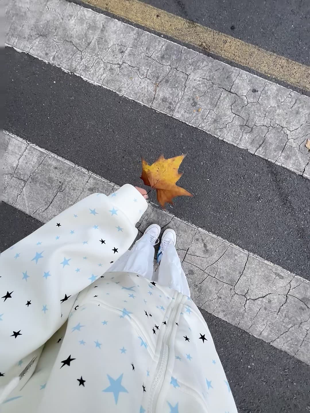 秋天的落叶和星点卫衣，今天在斑马线边捡到一片金黄封面图