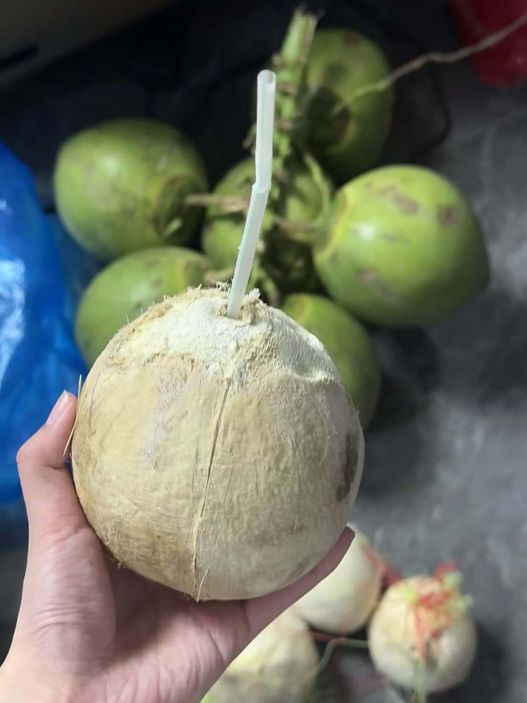 刚在街角小摊买了颗椰子，喝到一半发现它居然会‘喘气’…封面图