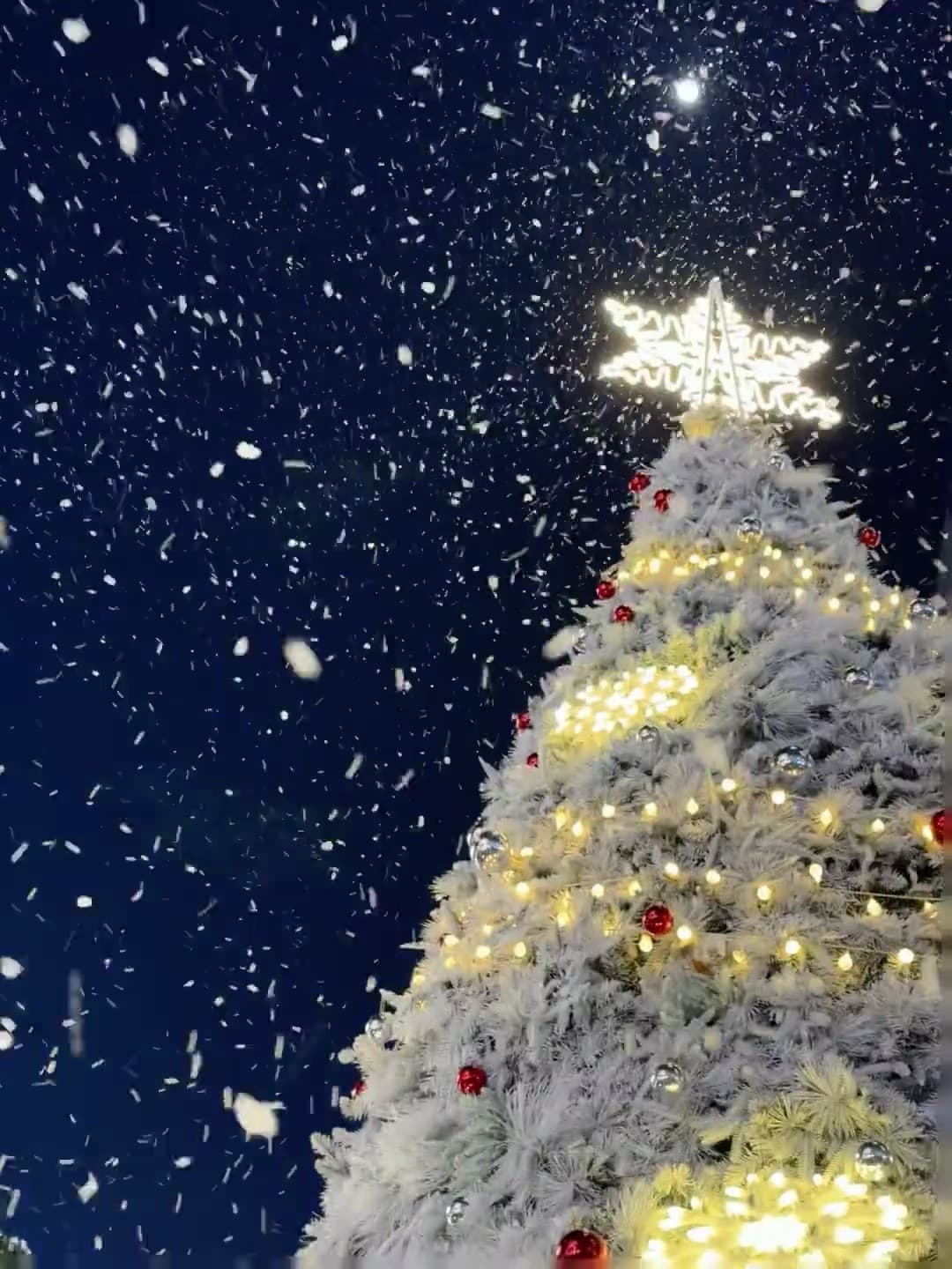 今晚街角的圣诞树突然下雪了❄️ 路过都愣住三秒封面图