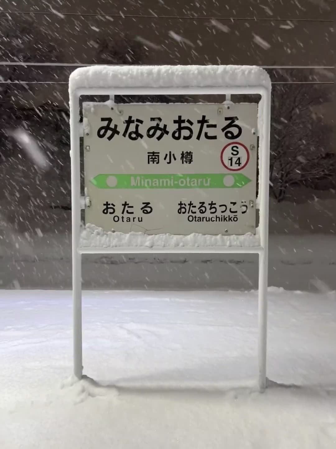 雪天路标被雪盖住一半，像在玩猜谜游戏❄️封面图