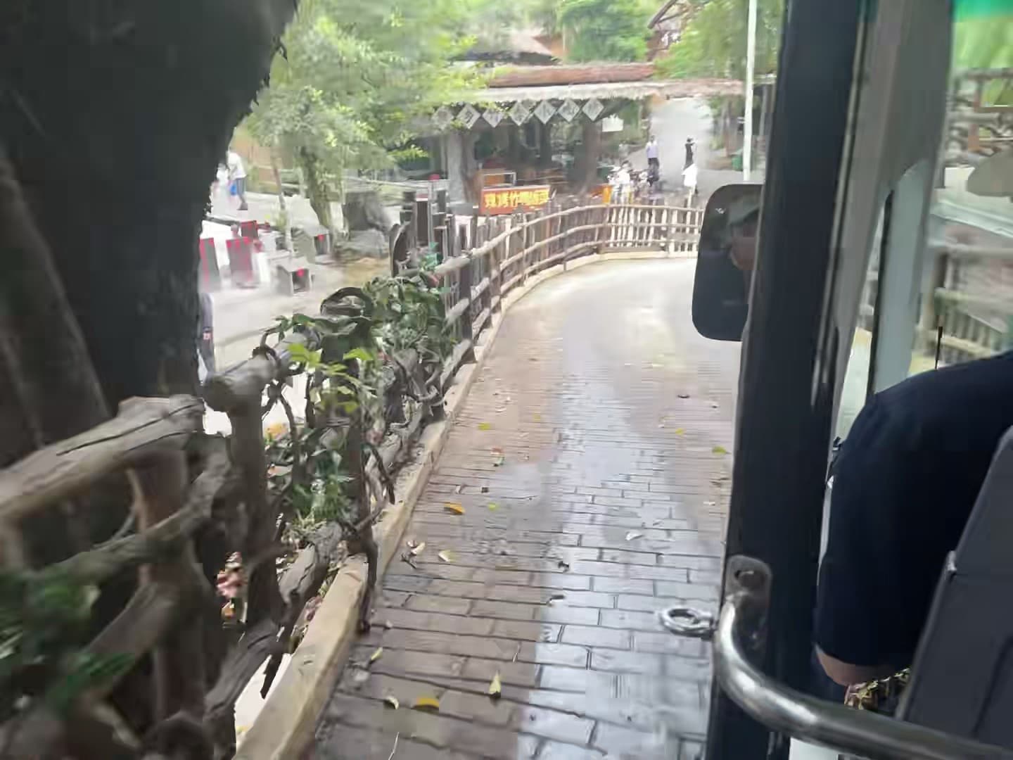 今天在动物园电车里拍的雨天小路，湿漉漉的砖头路像被水洗过一遍封面图