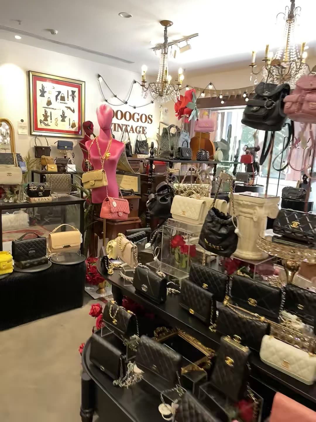 路过这家复古包店,差点把钱包焊在橱窗上… 🧡封面图