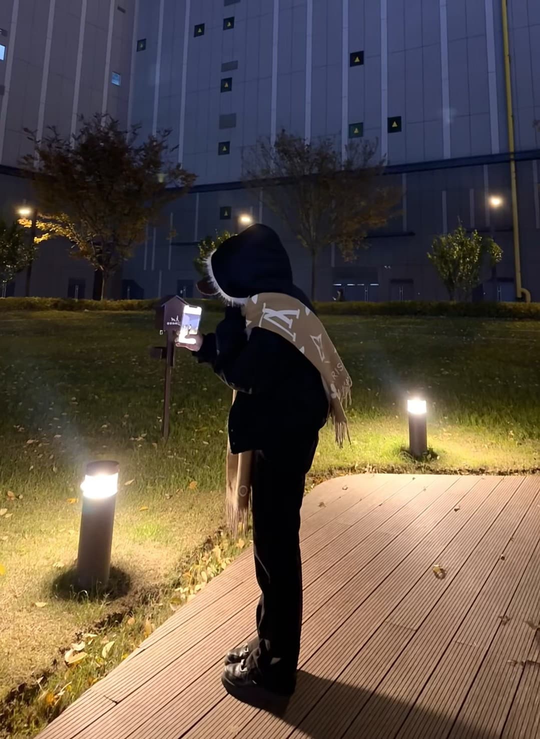 夜巡草坪时发现一只‘路灯小熊’，它居然在拍我？封面图