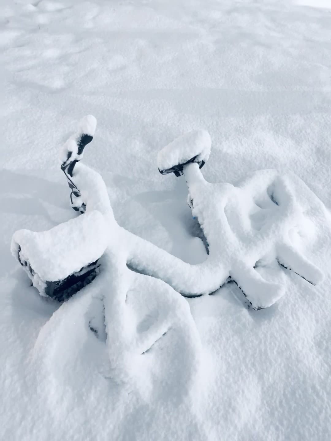 雪后街角，我的小电驴被‘封印’了❄️封面图