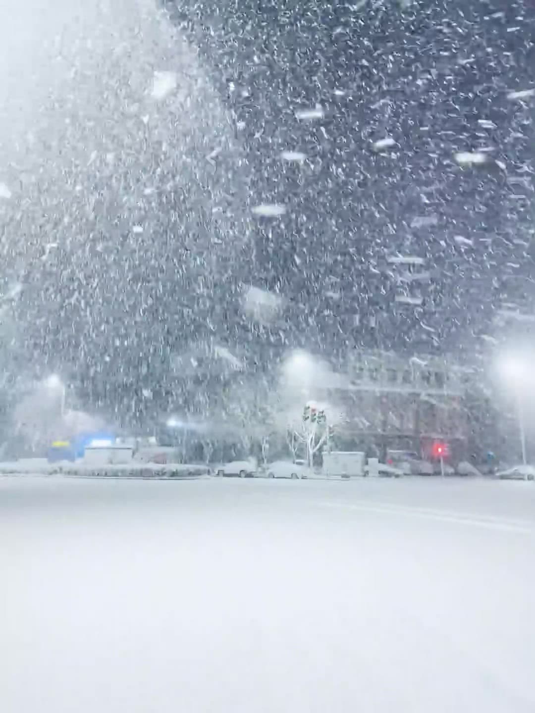 雪天通勤实录：车窗上全是‘雪花暴风雪’，今天在Junction Rd.被冻成冰雕封面图