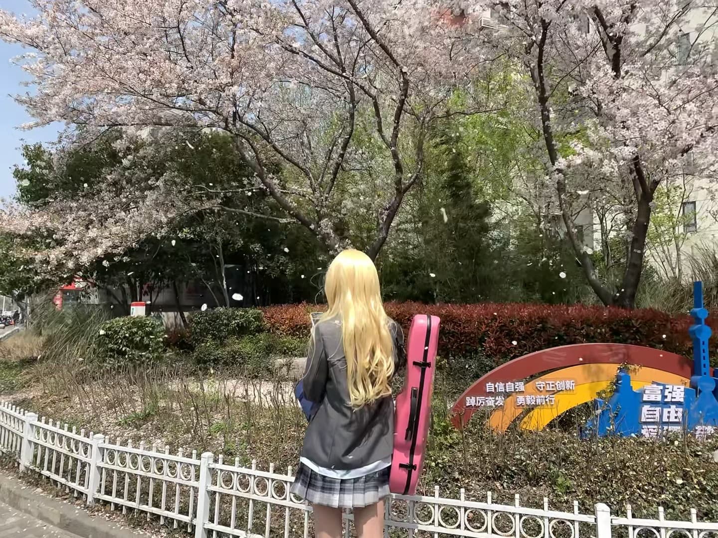 樱花季的偶遇:背琴去赴一场春日之约 🌸封面图