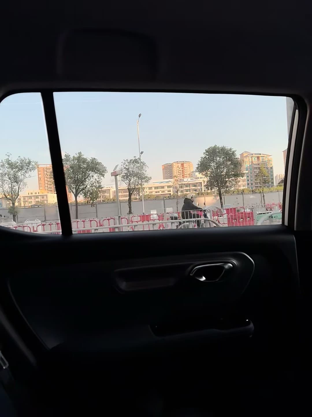 后座视角｜通勤路上的日常帧，今天在街角等红灯时拍到的暖光封面图