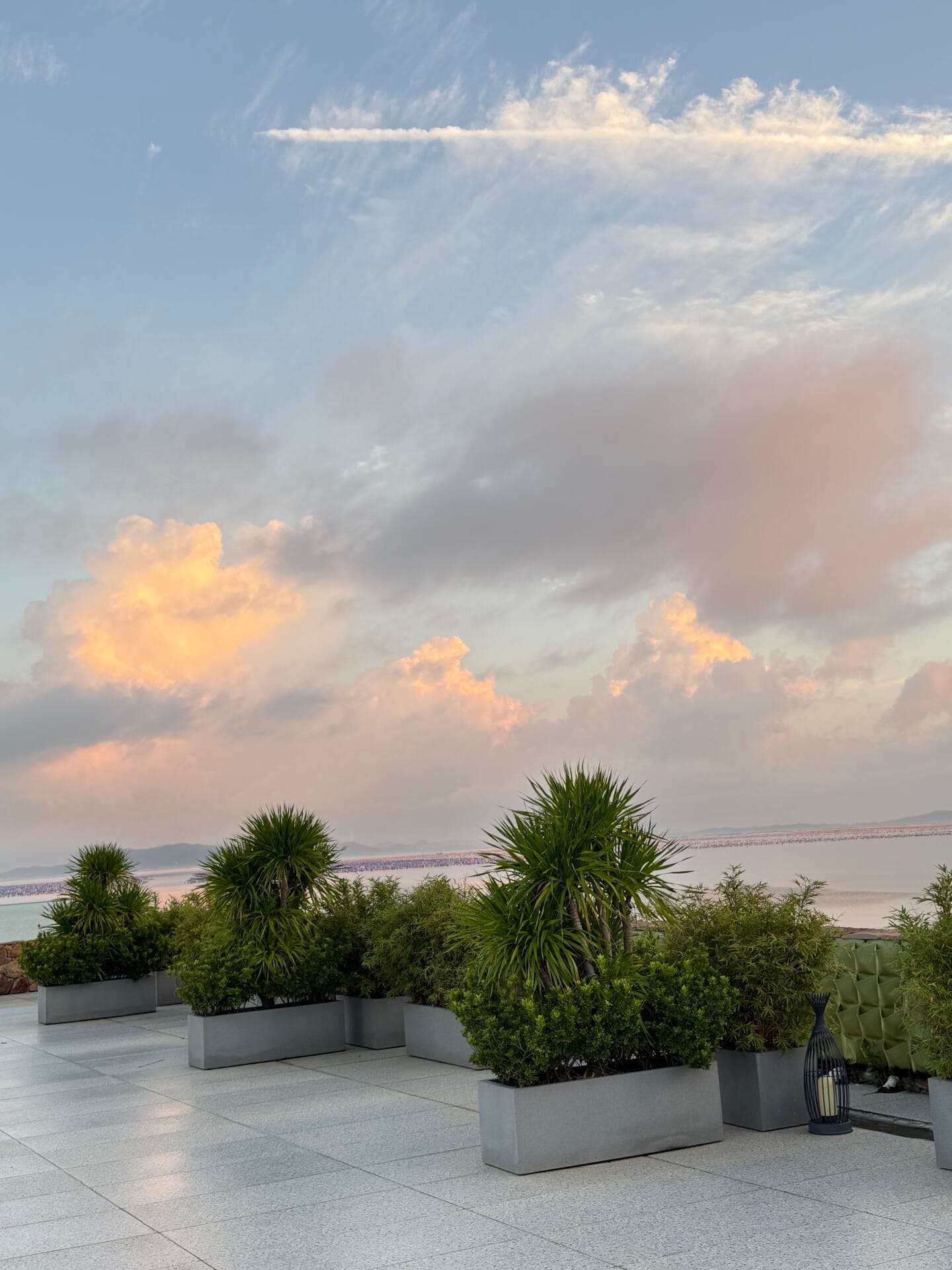 傍晚 rooftop 的云,像被风揉碎的糖霜封面图
