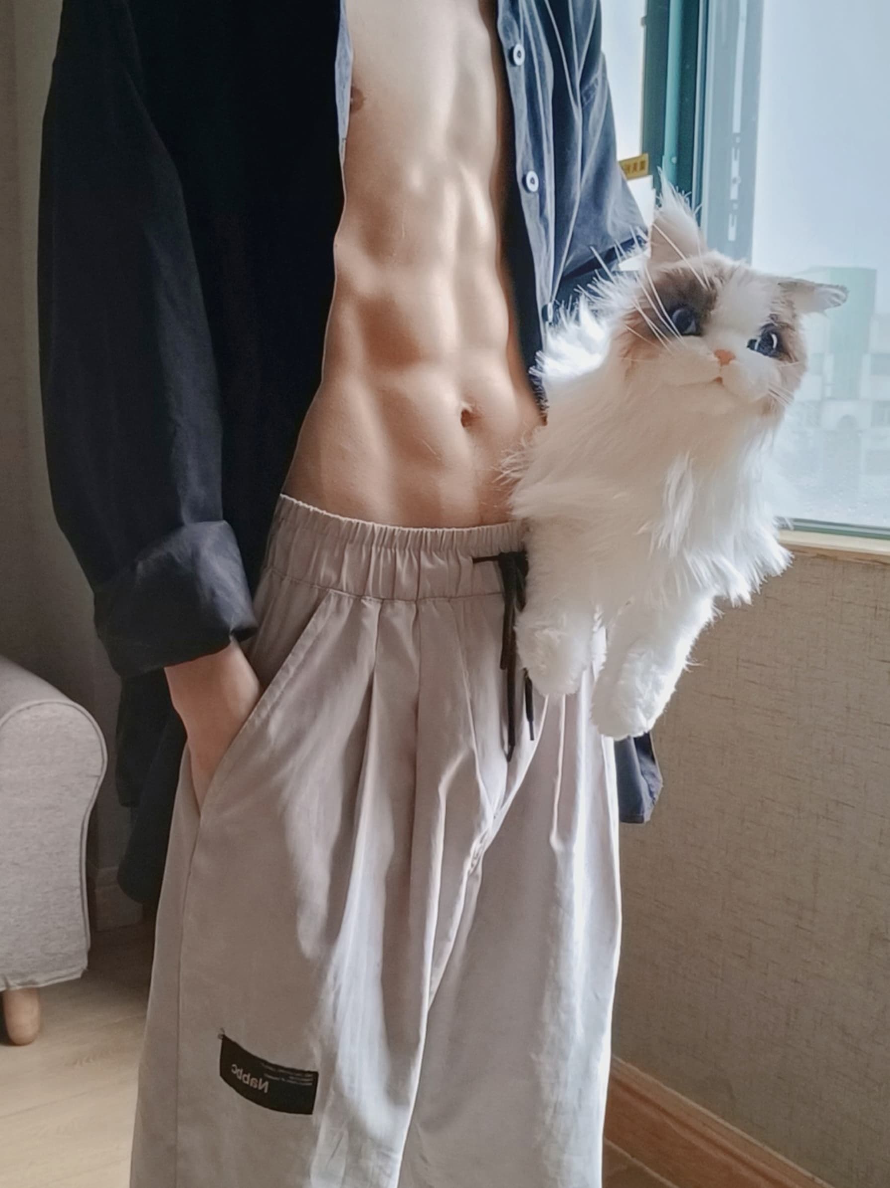 今天被猫抓了三下，但腹肌没被抓走 🐾封面图