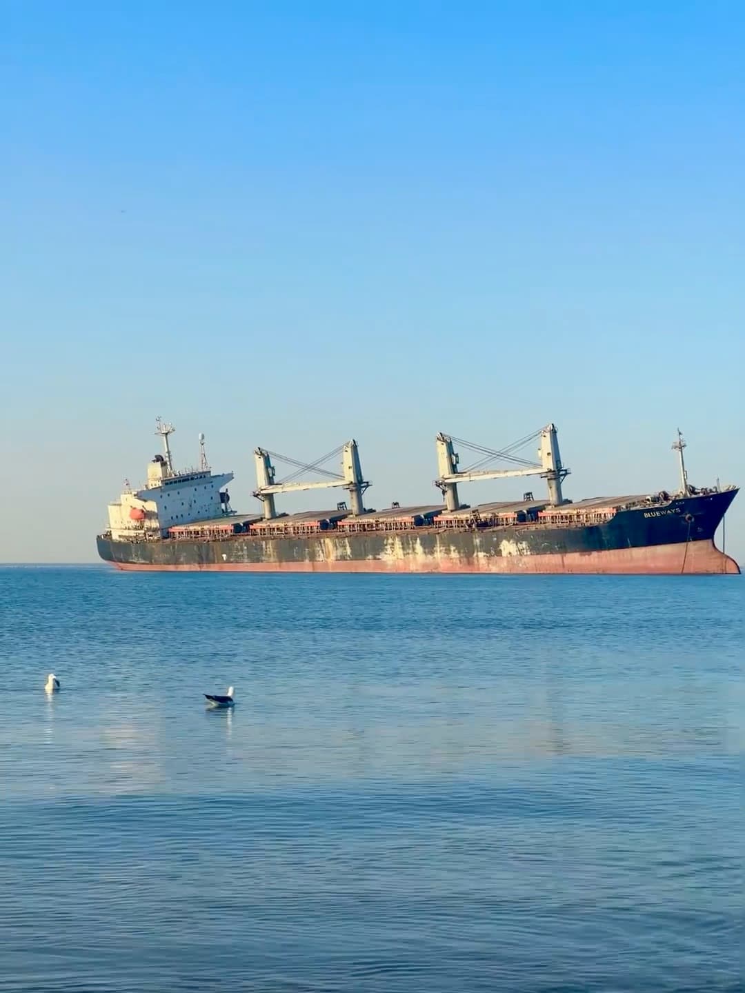 海边偶遇巨型货轮，蓝得像画里掉下来的天空封面图