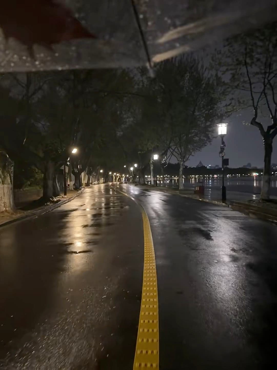 雨夜散步，路灯把路照成一条金线✨封面图