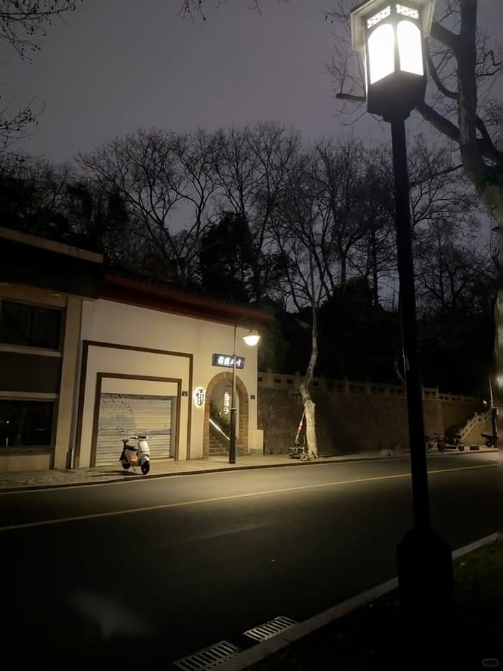 夜路拐角，路灯把树影拉得像老电影胶片封面图