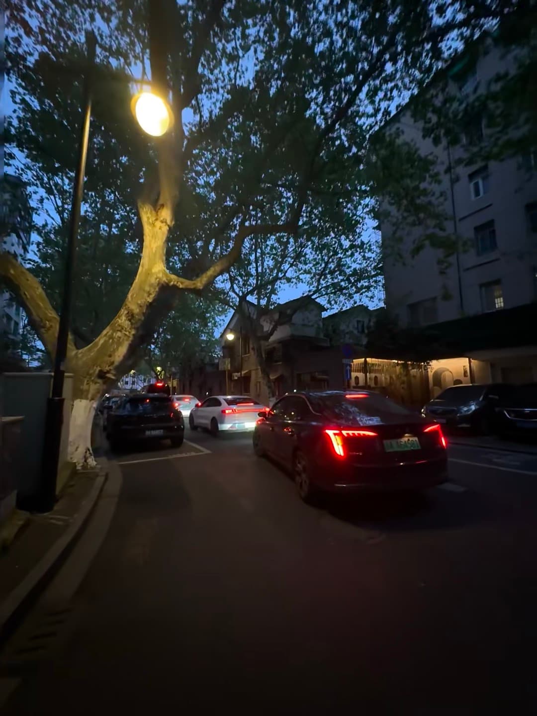 傍晚街角的树影与车灯，像不像老电影里的帧？封面图