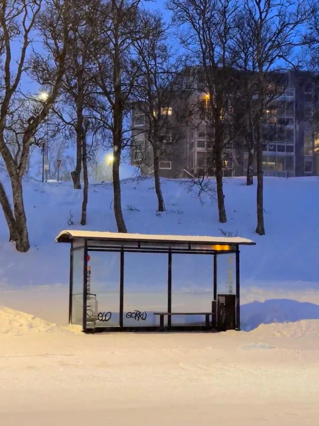 雪夜公交站台,像被世界按了静音键封面图