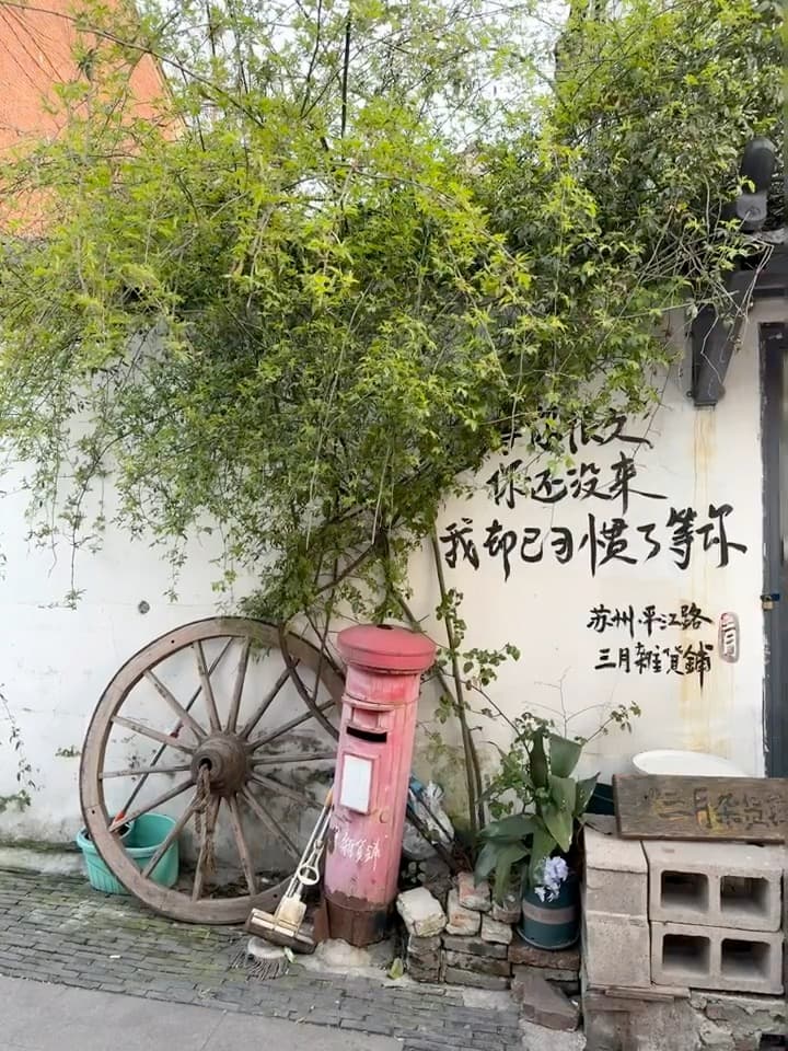 路过老墙边，被这句手写诗戳中了… 🌿封面图