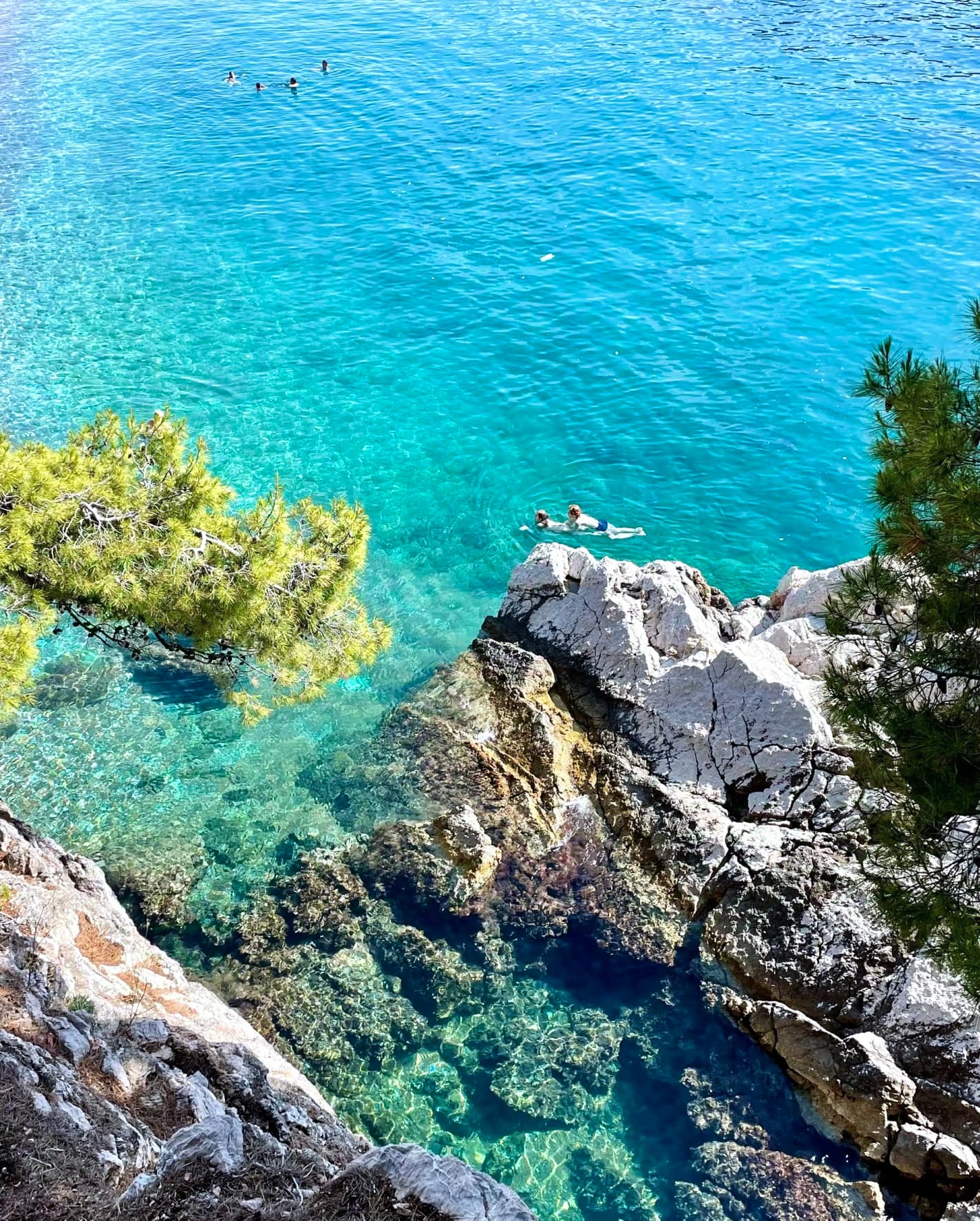 今天在悬崖边跳进海里，水清得能看见自己浮潜的影子～封面图